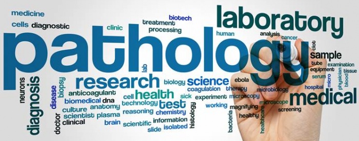 Choosing Wisely Pathology Project