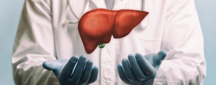 a healthy liver